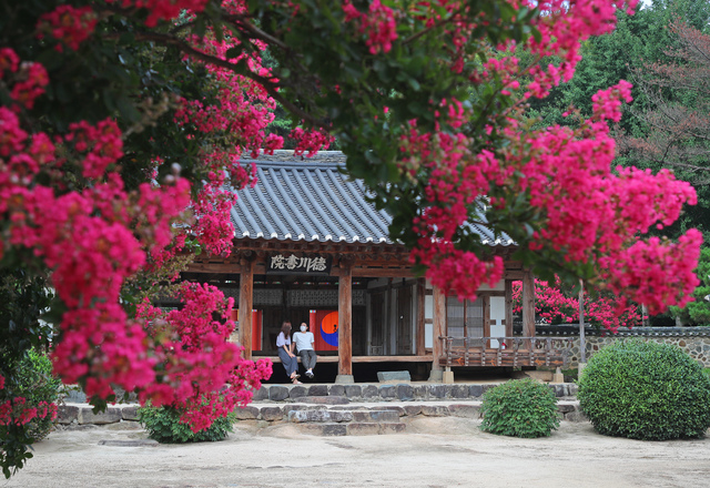 연재 뉴시스 앵글 | 뉴시스 앵글산청 덕천서원 배롱나무꽃 ...