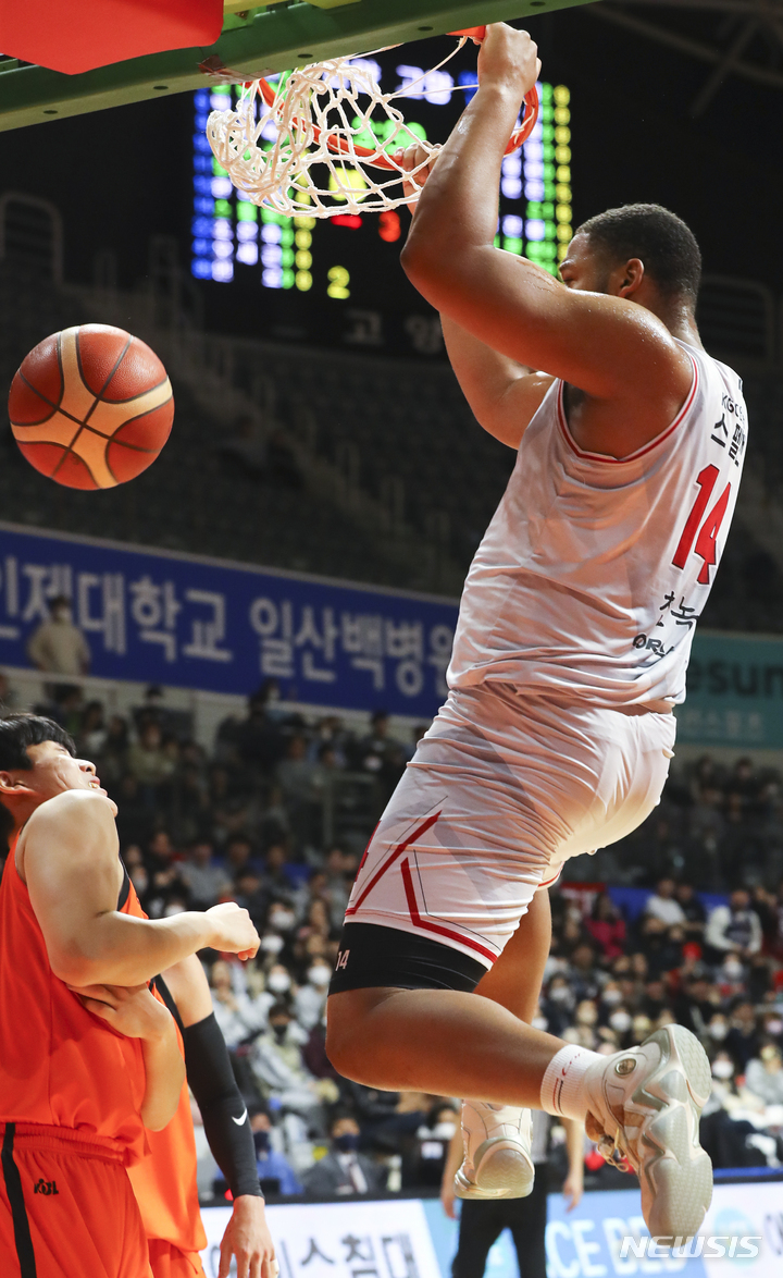 뉴시스