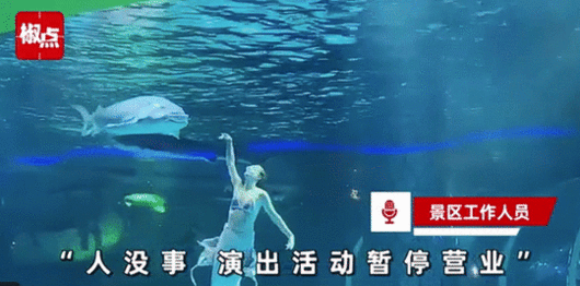 [서울=뉴시스]중국의 한 관광지에서 인어 공연 도중 거대 철갑상어가 배우의 머리를 무는 아찔한 사고가 발생했다.(사진=好看??) *재판매 및 DB 금지