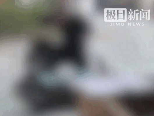 뉴시스