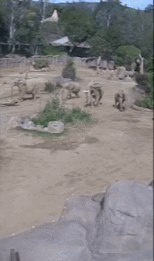 (사진=프리프레스저널) *재판매 및 DB 금지