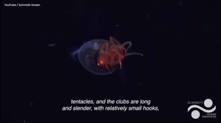 (사진=데일리메일) *재판매 및 DB 금지