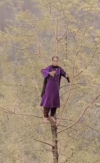 [서울=뉴시스] 인도의 한 여성이 나무 꼭대기에서 춤을 추는 영상이 현지에서 관심을 모으고 있다. (사진=프리프레스저널) *재판매 및 DB 금지