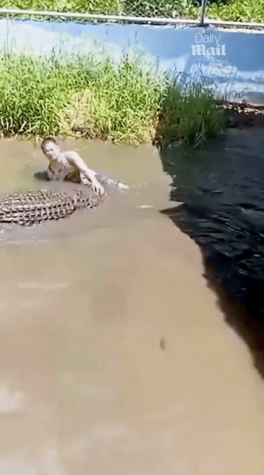 [서울=뉴시스] 필리핀에서 관광객이 셀카를 찍기 위해 악어 우리 안으로 들어갔다가 악어에게 습격당해 크게 다치는 사건이 발생했다.(사진=데일리메일) *재판매 및 DB 금지