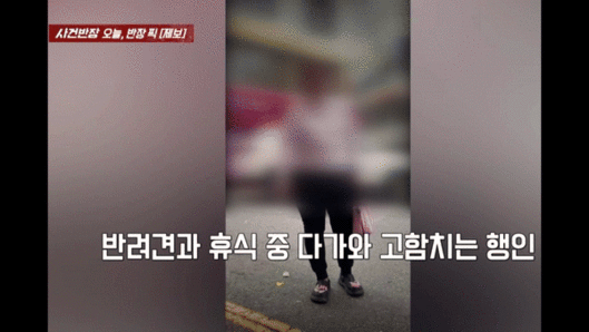 [서울=뉴시스] 반려견 산책 중 한 여성이 다가와 욕설을 내뱉는 영상이 공개됐다.(영상=JTBC 사건반장 갈무리) *재판매 및 DB 금지
