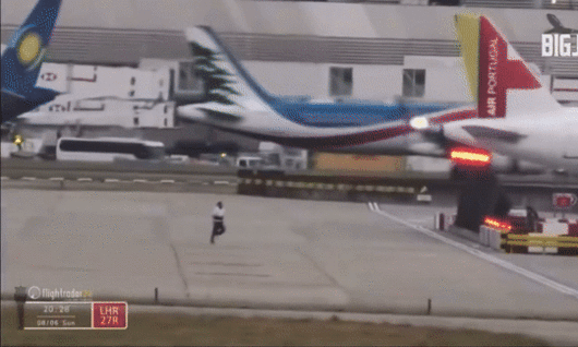 [뉴시스] 2일(현지시각) 영국 히드로공항 활주로에서 한 남성이 움직이는 항공기 주변을 질주하다가 체포되는 사건이 발생했다. (사진=Bigjet TV) 2025.06.02 *재판매 및 DB 금지