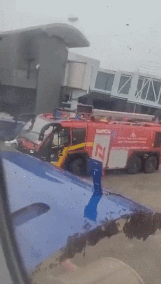 [뉴시스]인도 수라트에서 벌떼가 비행기 날개와 화물칸 문에 몰려든 모습. (사진=뉴욕포스트) 2025.7.10 *재판매 및 DB 금지