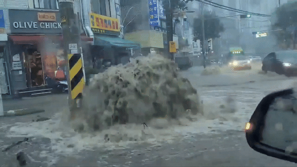 [서울=뉴시스] 은평구 불광동의 모습. (사진 = @junssi1982 엑스 갈무리) 2025.08.14.  *재판매 및 DB 금지