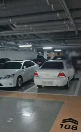 [뉴시스] 지하주차장에서 테니스 연습을 하는 영상이 온라인에서 화제다. (사진='인스타그램' 캡처) *재판매 및 DB금지 *재판매 및 DB 금지