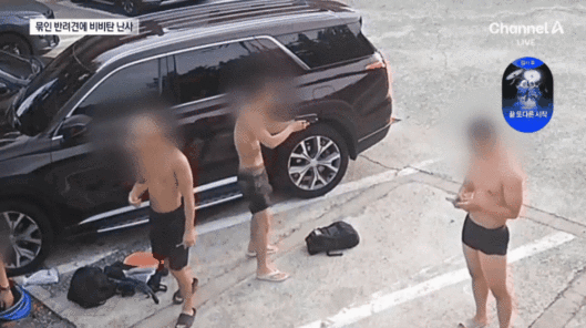 [영상=채널A 보도 화면 캡처]