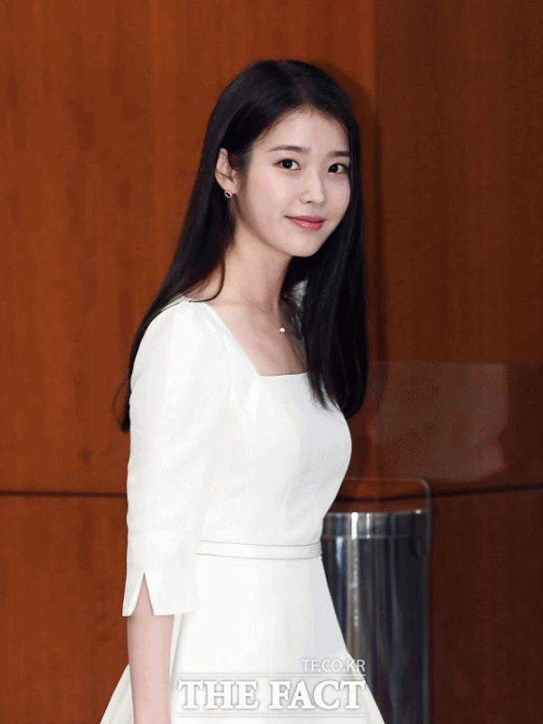 아이유는 올해 3월 모범납세자로 대통령 표창을 받은 것은 물론 6월 국세청 홍보대사로 위촉됐다. /더팩트 DB