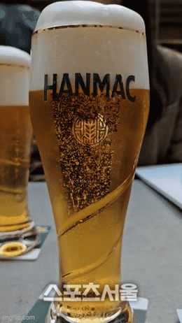 한맥 엑스트라 크리미 생맥주. 기포가 거품을 밀어올려 ‘환상거품’이 지속되는 것을 볼 수 있다. 사진 | 최규리기자 gyuri@sportsseoul.com